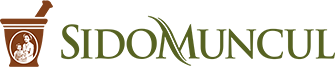 Logo SidoMuncul